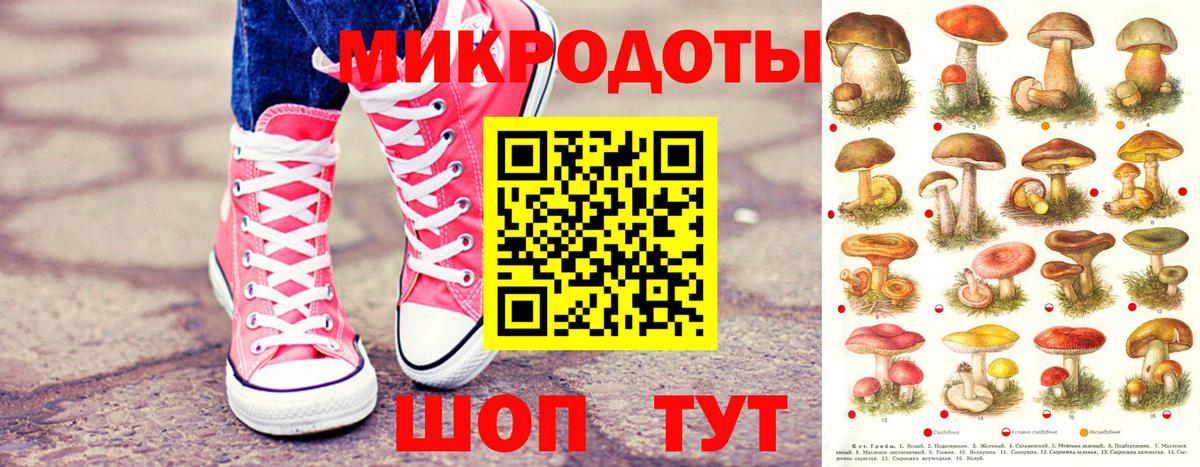 Галлюциногенные грибы Cubensis Каменка